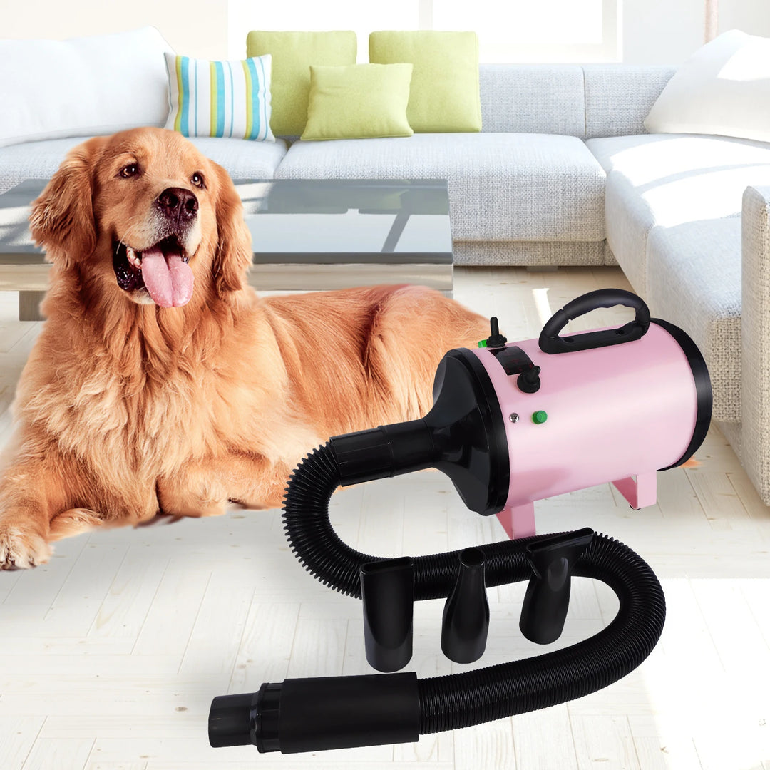 Dog Hair Dryer Professional 2800W Low Noise with 3 Nozzles & Extendable Hose Animal Fur Heater Hairdryer Grooming Blaster