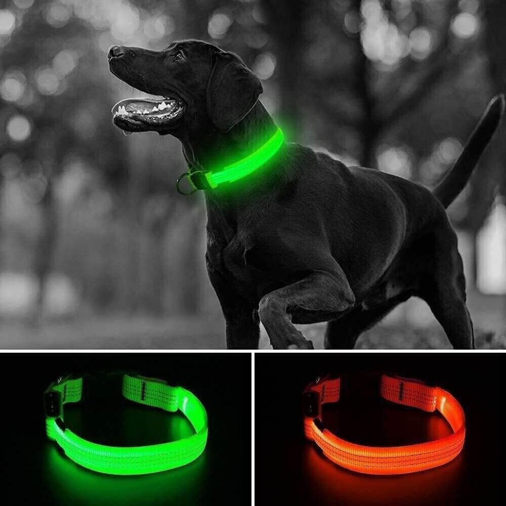 USB Rechargeable LED Pet Dog Collar Flashing Luminous Safety Light up Nylon UK - NovaNest