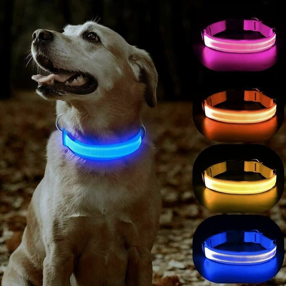 USB Rechargeable LED Pet Dog Collar Flashing Luminous Safety Light up Nylon UK - NovaNest