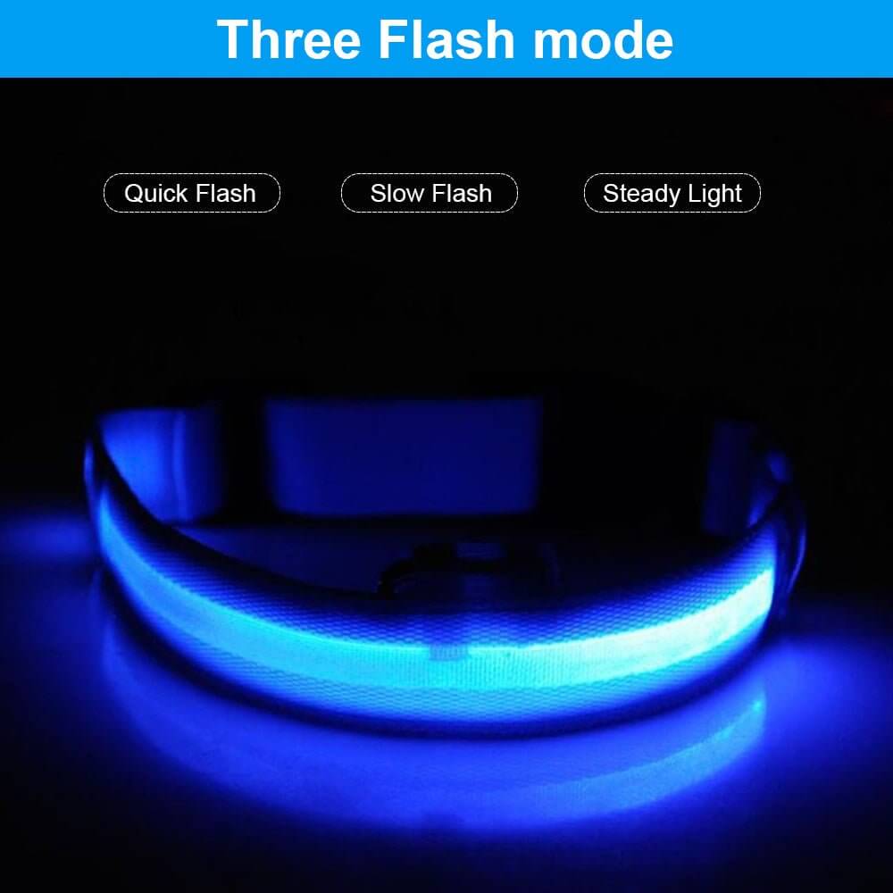 USB Rechargeable LED Pet Dog Collar Flashing Luminous Safety Light up Nylon UK - NovaNest