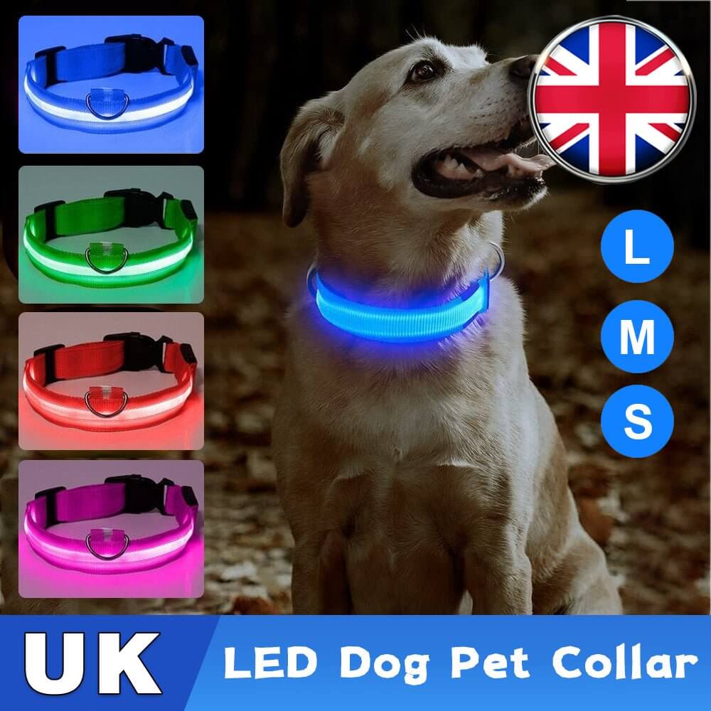 USB Rechargeable LED Pet Dog Collar Flashing Luminous Safety Light up Nylon UK - NovaNest